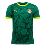 Africa World Cup 2026