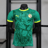 Africa World Cup 2026